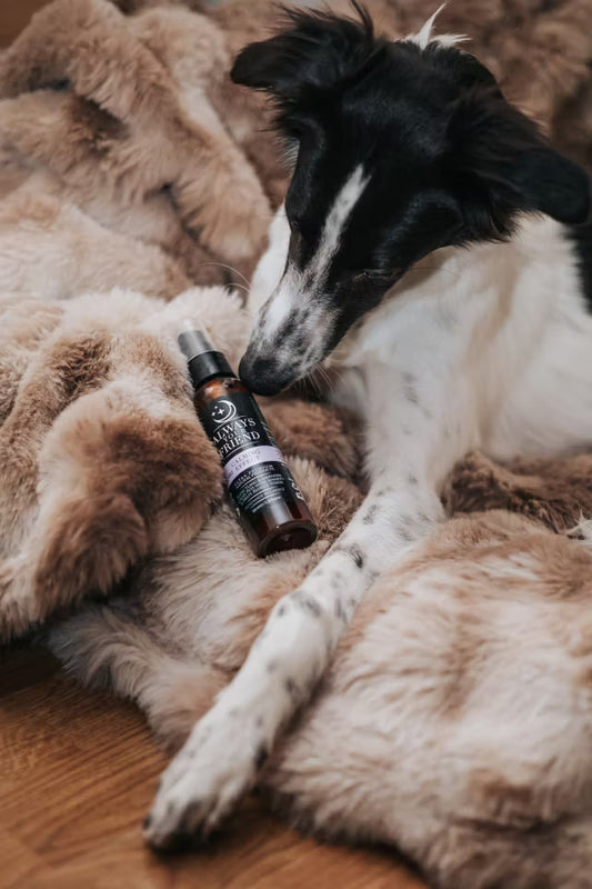 Calming & Stress Reducing Lotion 100 ml