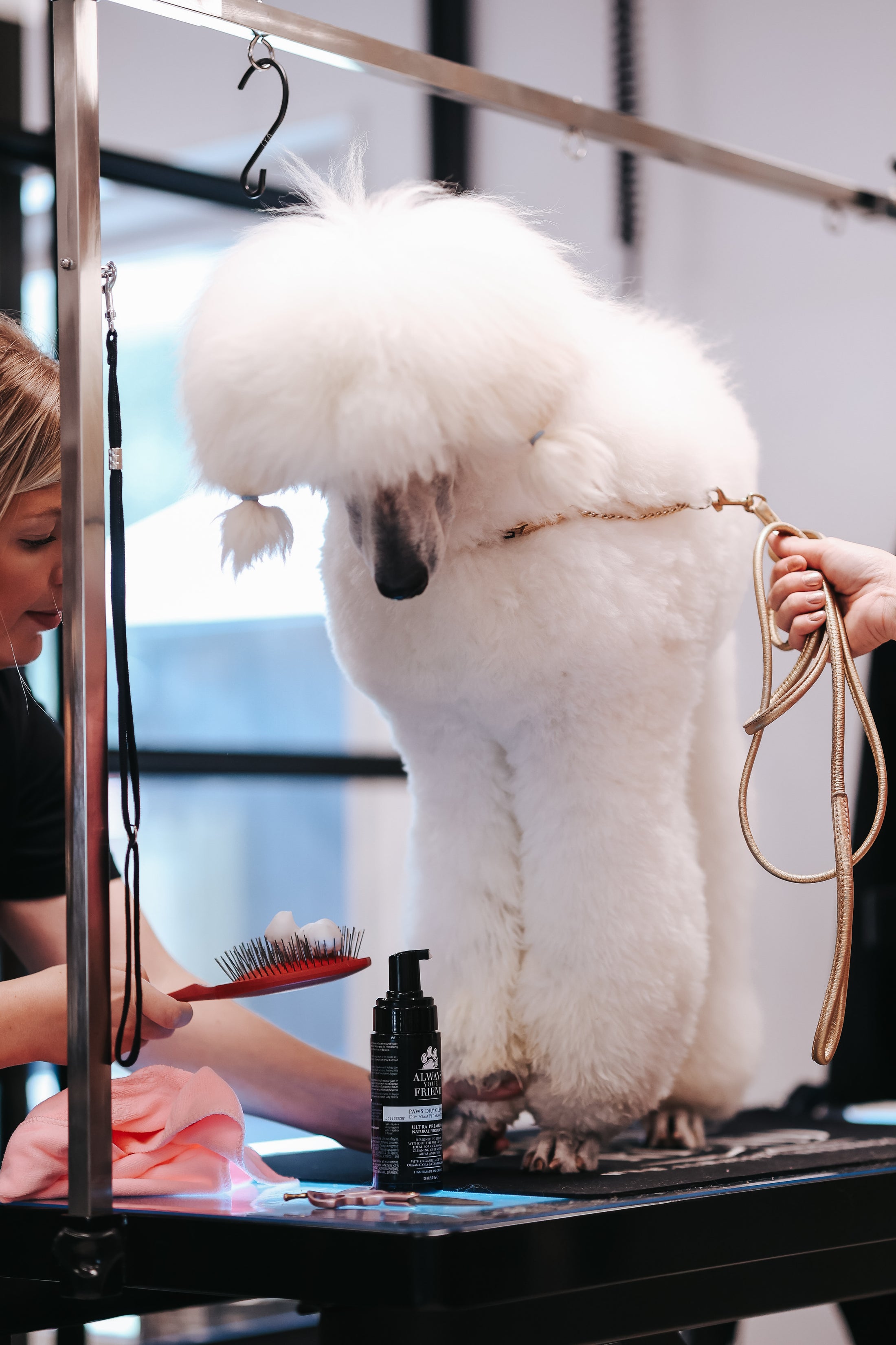 Paws Dry Clean Shampoo 150 ml